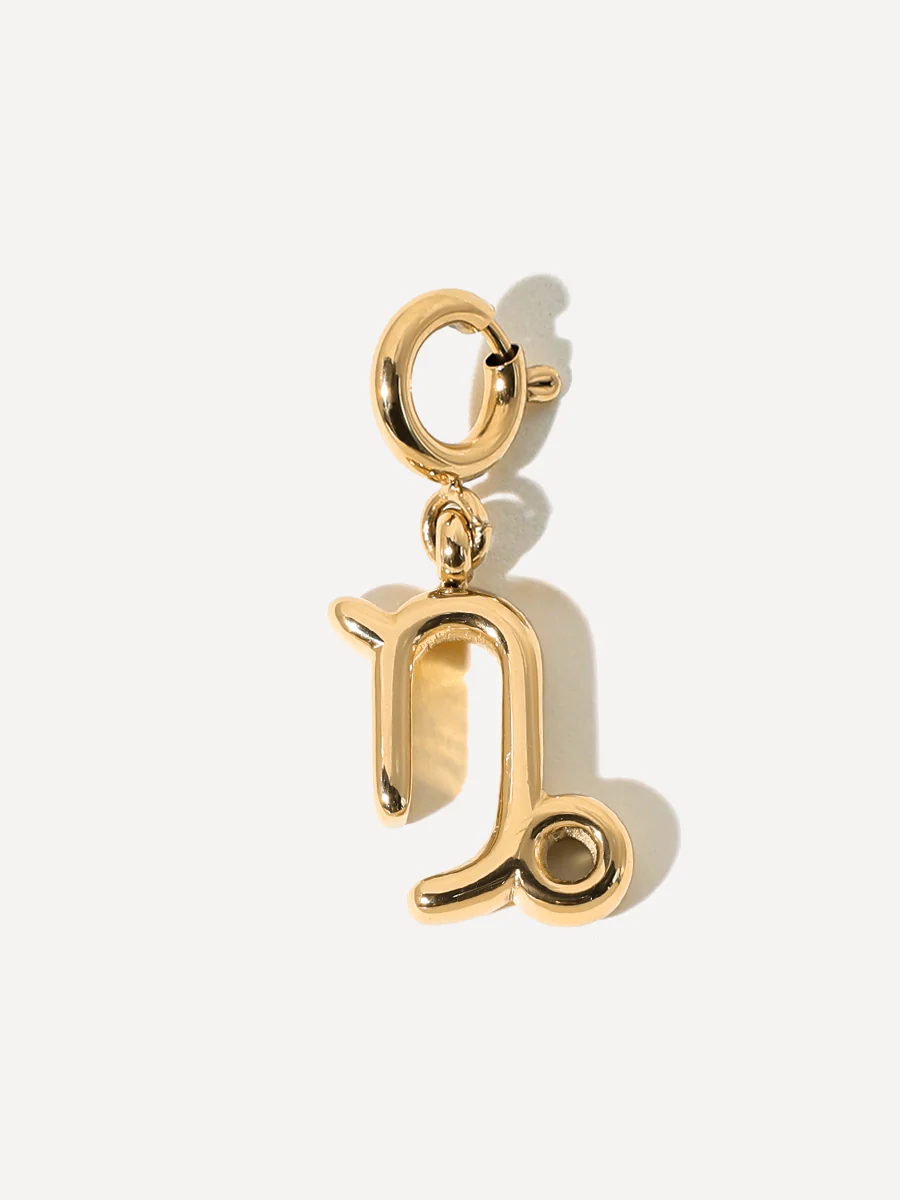 Classic Zodiac Ketten-Charm - Capricorn - Image 7