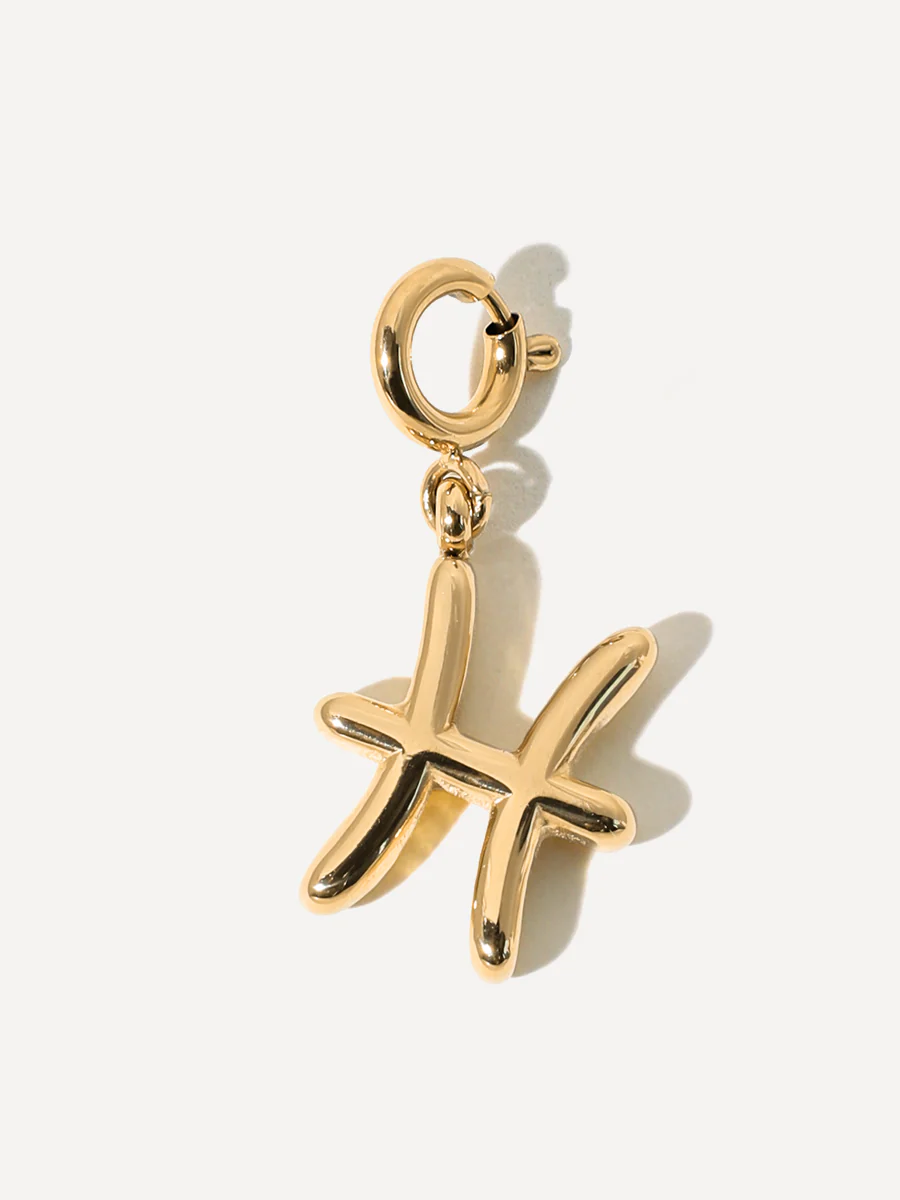 Classic Zodiac Ketten-Charm - Pisces - Image 8